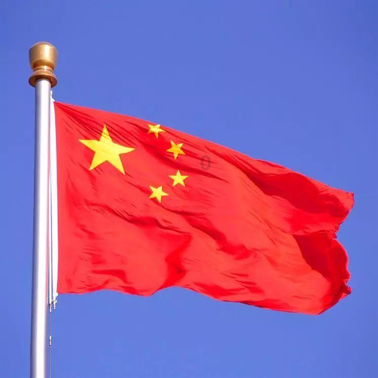 救援狗与猫